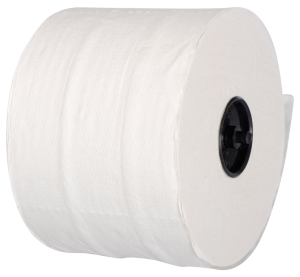 Toilet Paper 2 Ply White (B) 100m [113033]